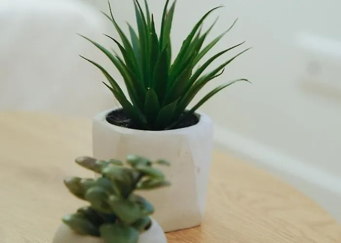 Cocon Urbain Refait A Neuf - Climatisation Toulouse