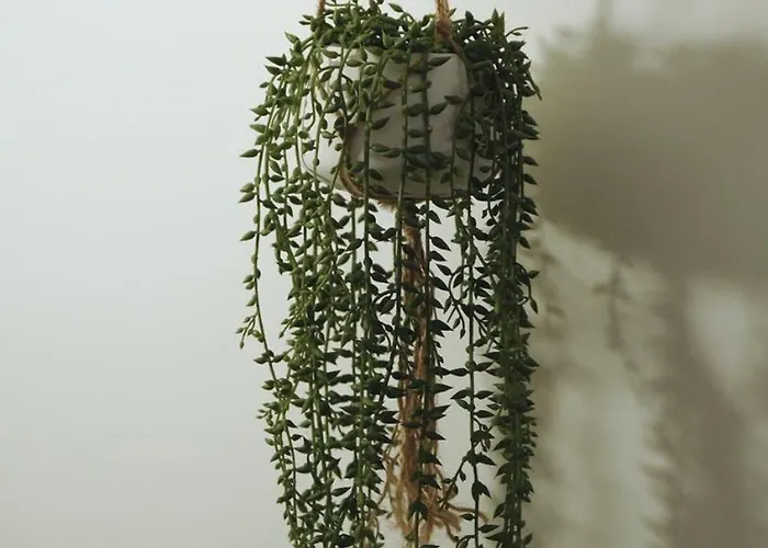 Cocon Urbain Refait A Neuf - Climatisation Apartment *