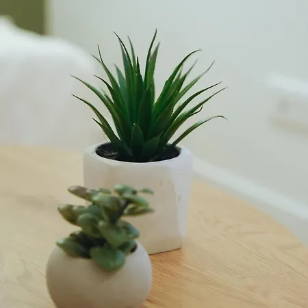 Cocon Urbain Refait A Neuf - Climatisation トゥールーズ